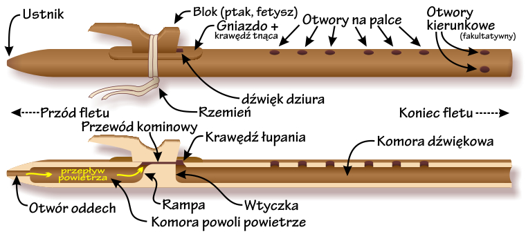 Components of the Native American flute — Polish-language labels