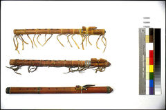 Image courtesy of the Smithsonian Institution.