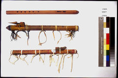 Image courtesy of the Smithsonian Institution.