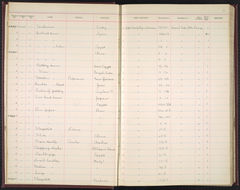 Image courtesy of the Smithsonian Institution.