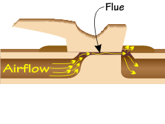 Location of the flue